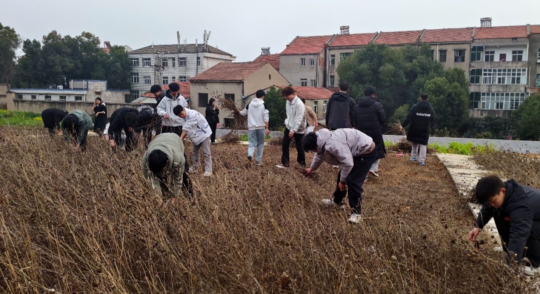 bevictor伟德官网