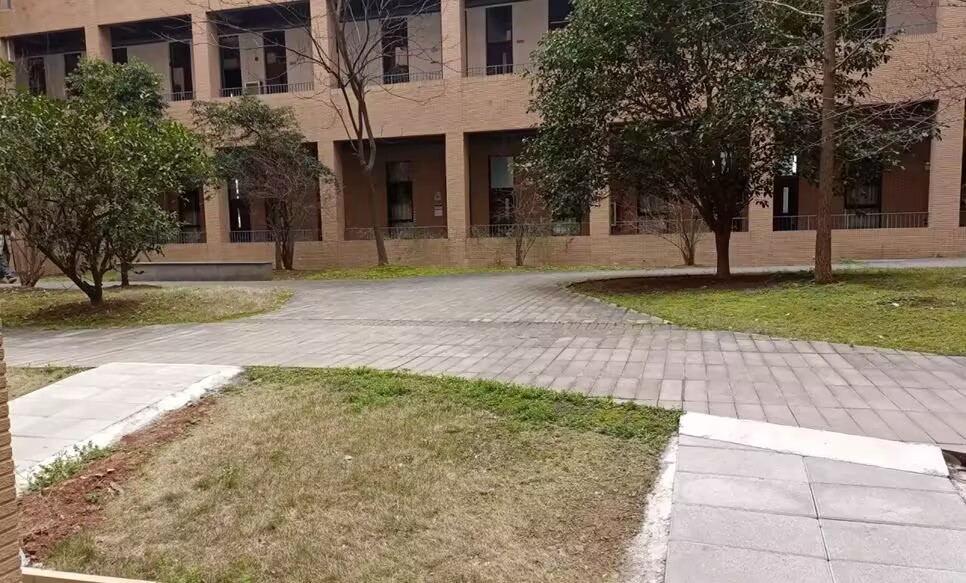 bevictor伟德官网