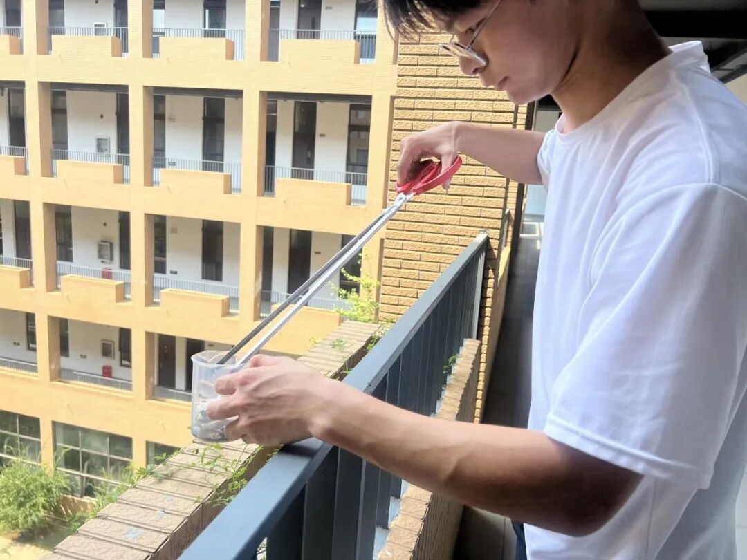 bevictor伟德官网