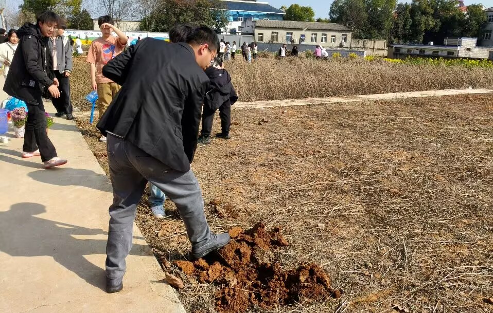 bevictor伟德官网